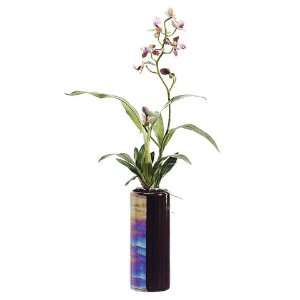   Pack of 4 Artificial Baby Oncidium Potted Orchids 20