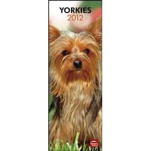    Yorkshire Terriers 2012 Slimline Wall Calendar
