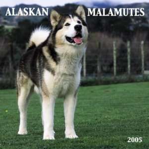  Alaskan Malamutes Wall (9780763174545) Books