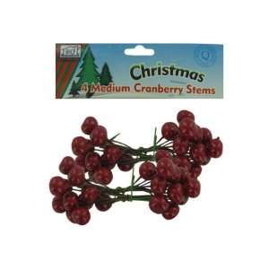 pack medium cranberry stems   Pack of 48 