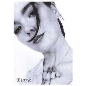 Bjork Music Poster, 23.5 x 33 