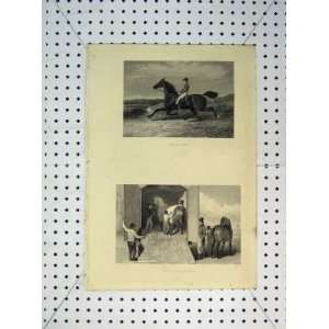  C1865 Horse Trotting Race Van Jockey Transport Print