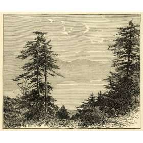 com 1890 Wood Engraving Pheneos Lake Phineas Landscape Mountain Pine 