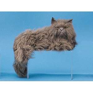 Persian Cat Sitting on Shelf Collectible Figurine Kitten Decoration 