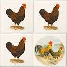 Rooster CERAMIC TILES