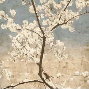 John Seba 27.5W by 27.5H  Cherry Blossoms I CANVAS Edge #6 1 1/4 