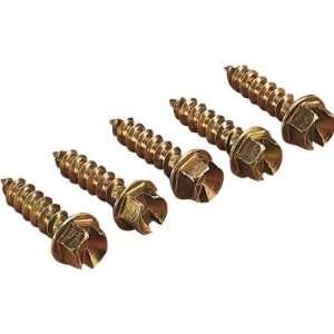  SCREWS GOLD 1 (250) Automotive