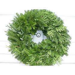 Fresh Balsam 24 inch Mixed Greens Wreath  