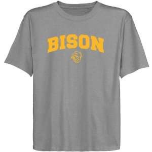  NCAA North Dakota State Bison Youth Ash Logo Arch T shirt 
