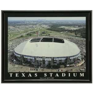 Dallas Cowboys Texas Stadium 8 x 10 Framed Aerial Photograph 