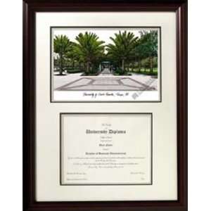  University of South Florida Scholar Graduate Framed 