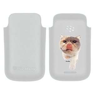  Exotic Shorthair on BlackBerry Leather Pocket Case  