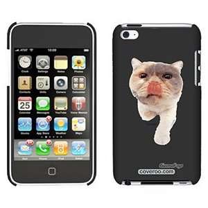  Exotic Shorthair on iPod Touch 4 Gumdrop Air Shell Case 