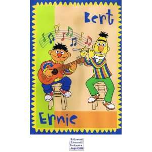 Bert & Ernie Twin Mink Plush Blanket (Melody)