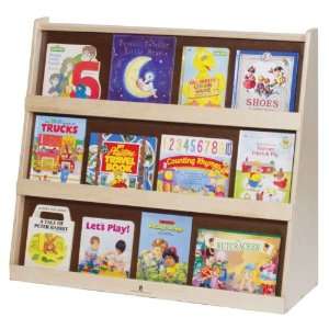  Book Display with 2 Wide Shelves