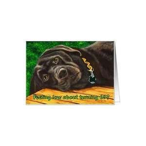  Funny Birthday ~ 65 Years Old ~ Labrador Dog Card Toys 
