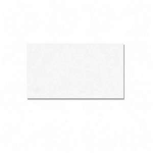 Geographics Blank Business Card   3.5 X 2   65lb   022473390518 