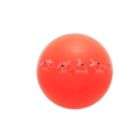 Trainermat TRAINERball for Core Strength (red 55)