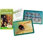 Learning Resources Animal Classifying Cards, Grasslands