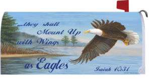 Eagles Wings Mailbox Makeover Cover  