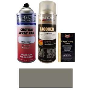  12.5 Oz. Lakeshore Silver Metallic Spray Can Paint Kit for 
