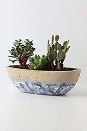 bowls   Anthropologie