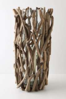 Driftwood Hurricane, Tall