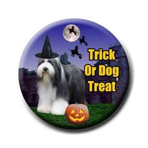  Bearded Collie Halloween Pin Badge Button 