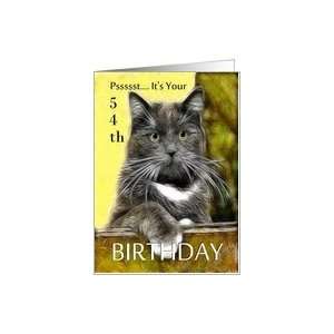    Birthday ~ Age Specific 54th ~ Cat in a box Card Toys & Games