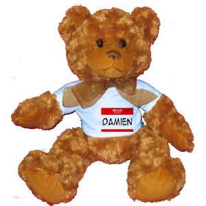  HELLO my name is DAMIEN Plush Teddy Bear with BLUE T Shirt 