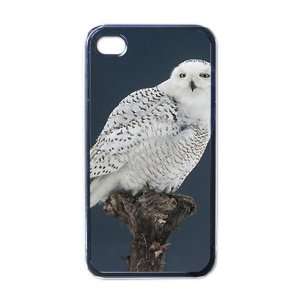  Snow Owl Apple RUBBER iPhone 4 or 4s Case / Cover Verizon 