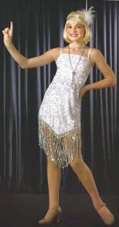 ROXIE Chicago Charleston Flapper Dance Dress Costume Halloween CS 2XL 