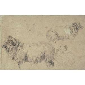   Nicolaes Berchem   32 x 20 inches   Studies of rams, goats and sheep