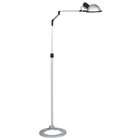 Eurofase 13827 014 Morph 1 Light Floor Lamp, Aluminum