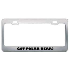 Got Polar Bear? Animals Pets Metal License Plate Frame Holder Border 