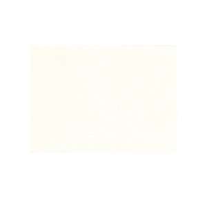   Gibson Box of 25 Informal Paneled Note Cards, White (CN85 3) Office
