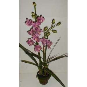    40 Double Potted Silk Cymbidium Orchid (Mauve)