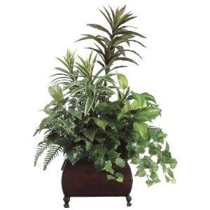  Cordyline Dracaena Fern & Ivy Silk Plant Arrangement