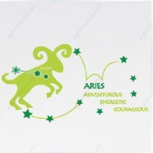 Made in US   Free Custom Color   Free Squeegee  Aries (constellation 