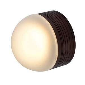  BRZ/FST MicroMoon   One Light Wet Location Ceiling or Wall Fixture 