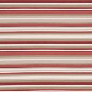  Hamilton Stripe 380 by G P & J Baker Fabric