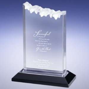  Successories Silver Summit Reflection Award Musical Instruments