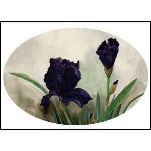  Midnight Iris Black Top Floral Flower Six Floral Flower 