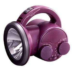  Spectra MR 300 AM/FM Handy Lantern Electronics