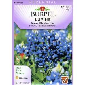  Burpee 32863 Lupine Texas Bluebonnet Seed Packet Patio 