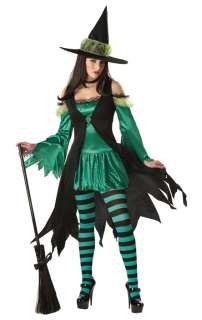 Emerald Witch Adult Halloween Costume  