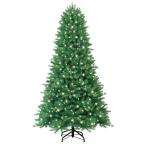   . 432 LED Pre Lit C3 Just Cut Black Hills Fir Tree, Warm White Lights
