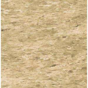 Brewster 8 in. W x 10 in. H Birchbark Wallpaper Sample 145 62662SAM at 