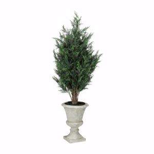   Green Spring Cypress Tree in Resin Pot 0153310610 