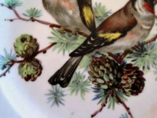 Bavarian Porcelain Bird Plate marked Golden Crown  